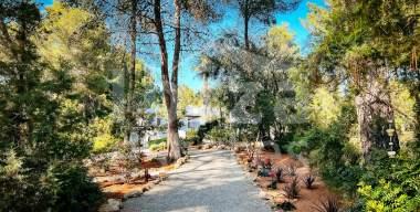 ibiza-estate