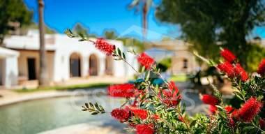 ibiza-estate