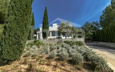 ibiza-estate