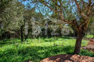ibiza-estate