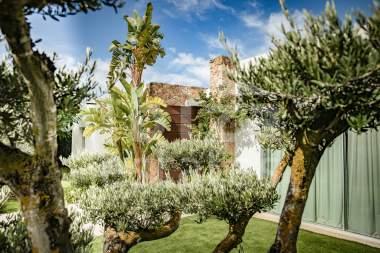 ibiza-estate