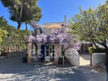 ibiza-estate