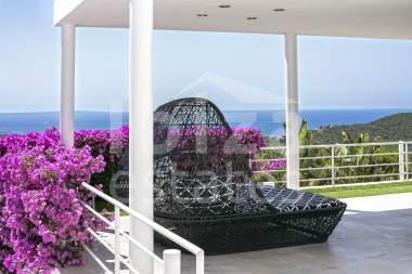 ibiza-estate