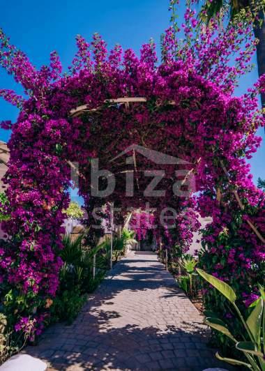 ibiza-estate