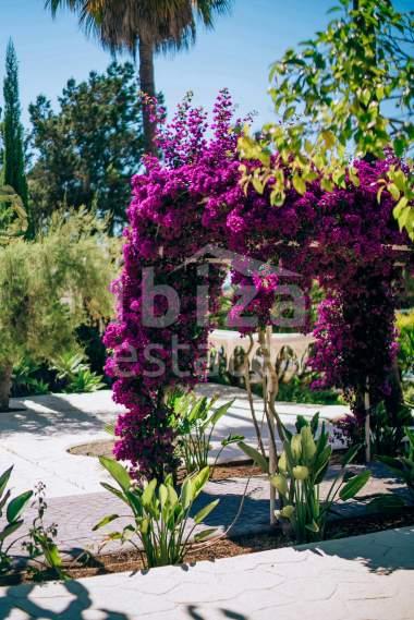 ibiza-estate