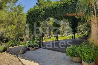 ibiza-estate
