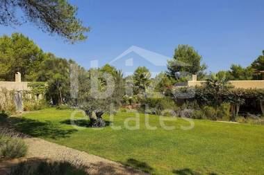 ibiza-estate