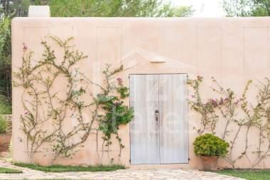 ibiza-estate