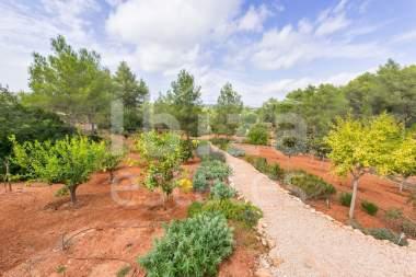 ibiza-estate
