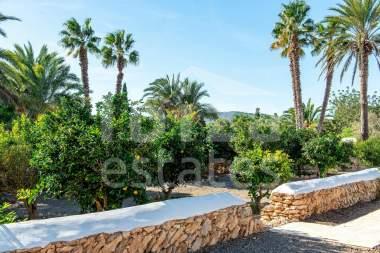 ibiza-estate