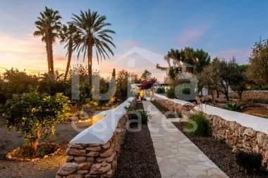 ibiza-estate