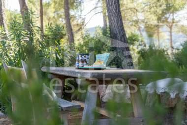 ibiza-estate