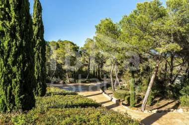 ibiza-estate