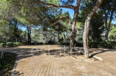 ibiza-estate