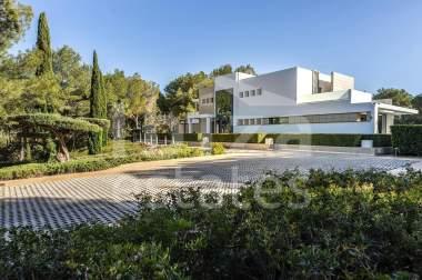ibiza-estate