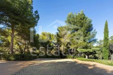 ibiza-estate