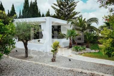 ibiza-estate