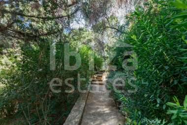 ibiza-estate