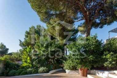 ibiza-estate