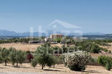 mallorca-estate