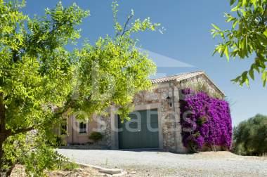 mallorca-estate