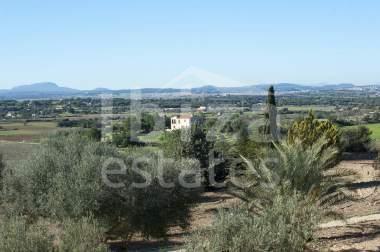 mallorca-estate