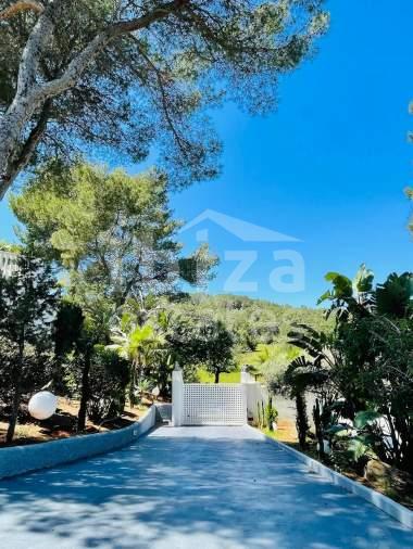 ibiza-estate