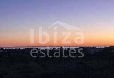 ibiza-estate