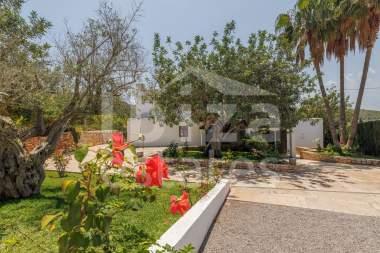 ibiza-estate