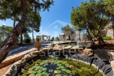 ibiza-estate