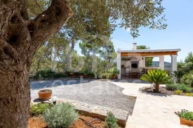 ibiza-estate