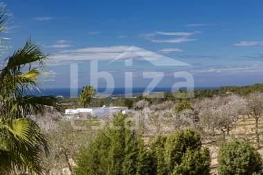 ibiza-estate