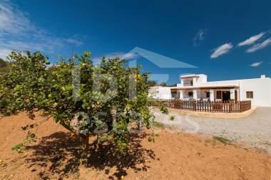 ibiza-estate