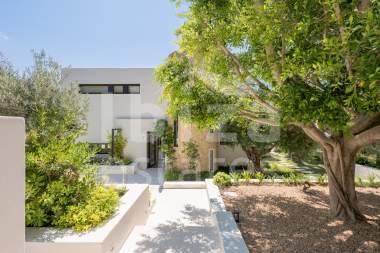 ibiza-estate