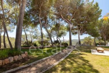 ibiza-estate