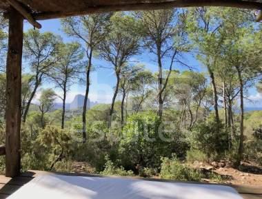 ibiza-estate