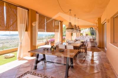 ibiza-estate