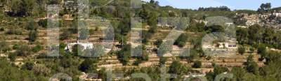 ibiza-estate