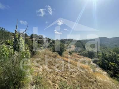 ibiza-estate
