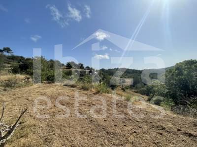 ibiza-estate