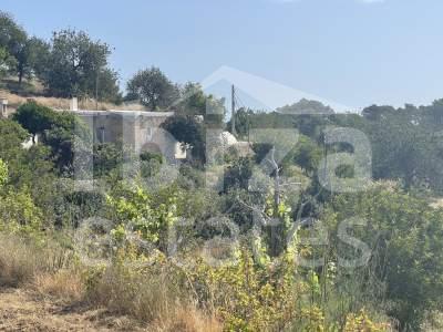 ibiza-estate