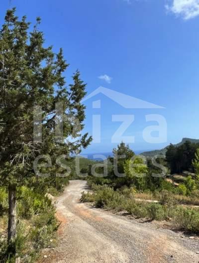 ibiza-estate
