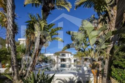 ibiza-estate