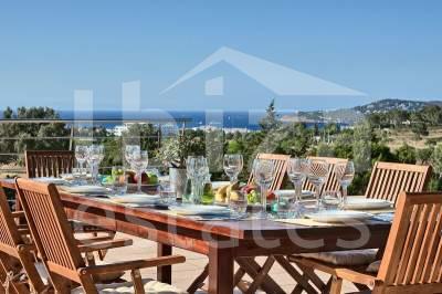 ibiza-estate