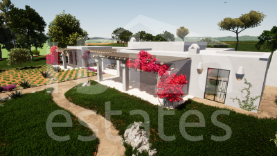 ibiza-estate