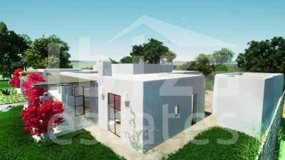 ibiza-estate
