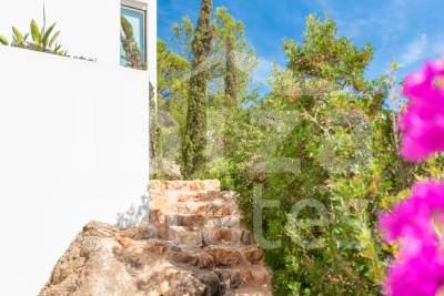 ibiza-estate