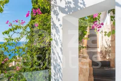 ibiza-estate