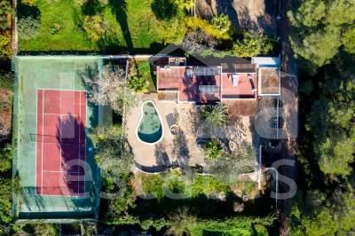 ibiza-estate