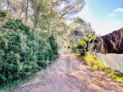ibiza-estate